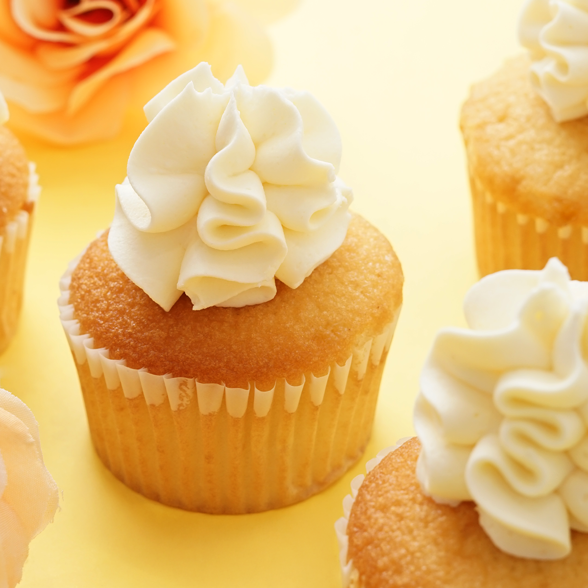 Vanilla Cupcakes